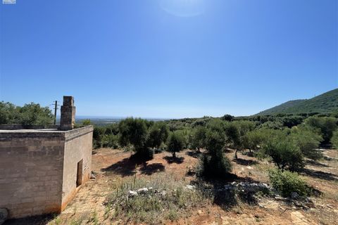 Landejendom i Monopoli, Bari, Monopoli - € 240.000 | Ref: 114 - foto 17